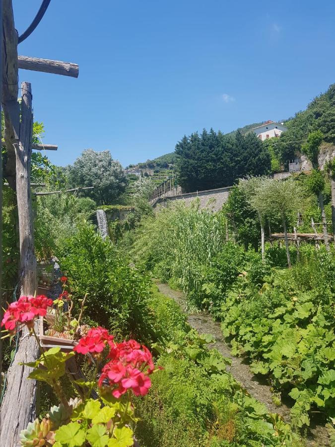 Casa Nonna Anna Villa Майори Екстериор снимка