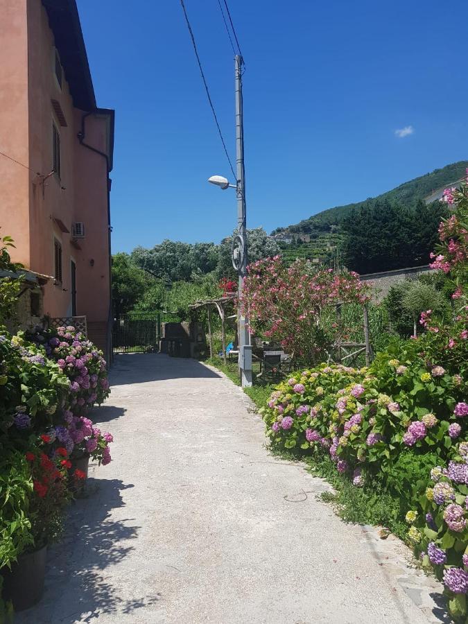 Casa Nonna Anna Villa Майори Екстериор снимка