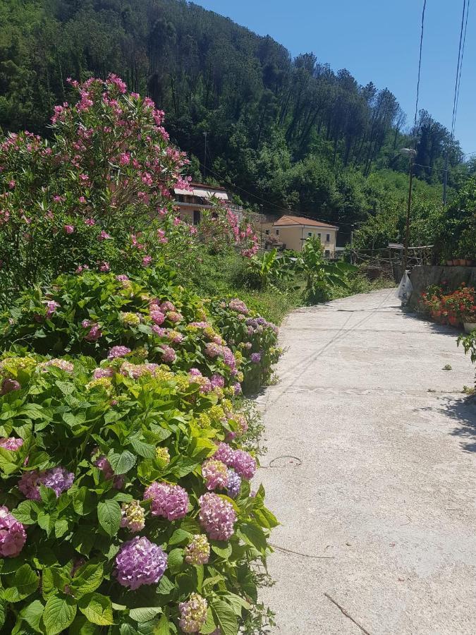 Casa Nonna Anna Villa Майори Екстериор снимка